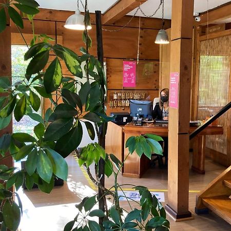 Hotel Truyaca Osorno Bagian luar foto